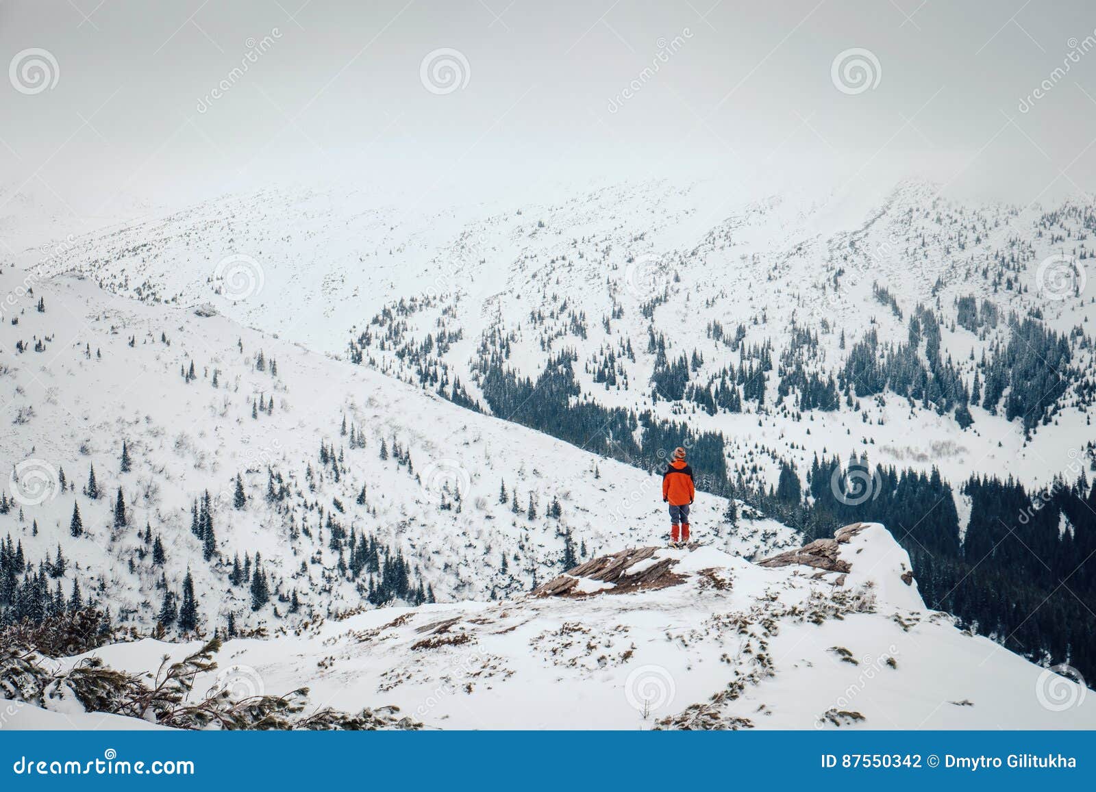 Ritenga la libertàe goda di belle montagne dellinverno fotografia ... Immagini invernali belle