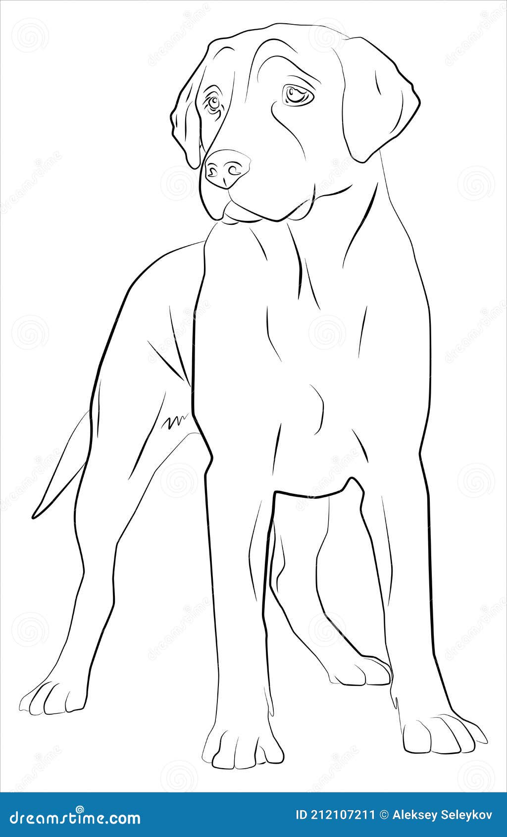 betaling Perseus jul Ritning Av En Hund På En Vit Bakgrund Vektor Illustrationer - Illustration  av isolerat, tecken: 212107211