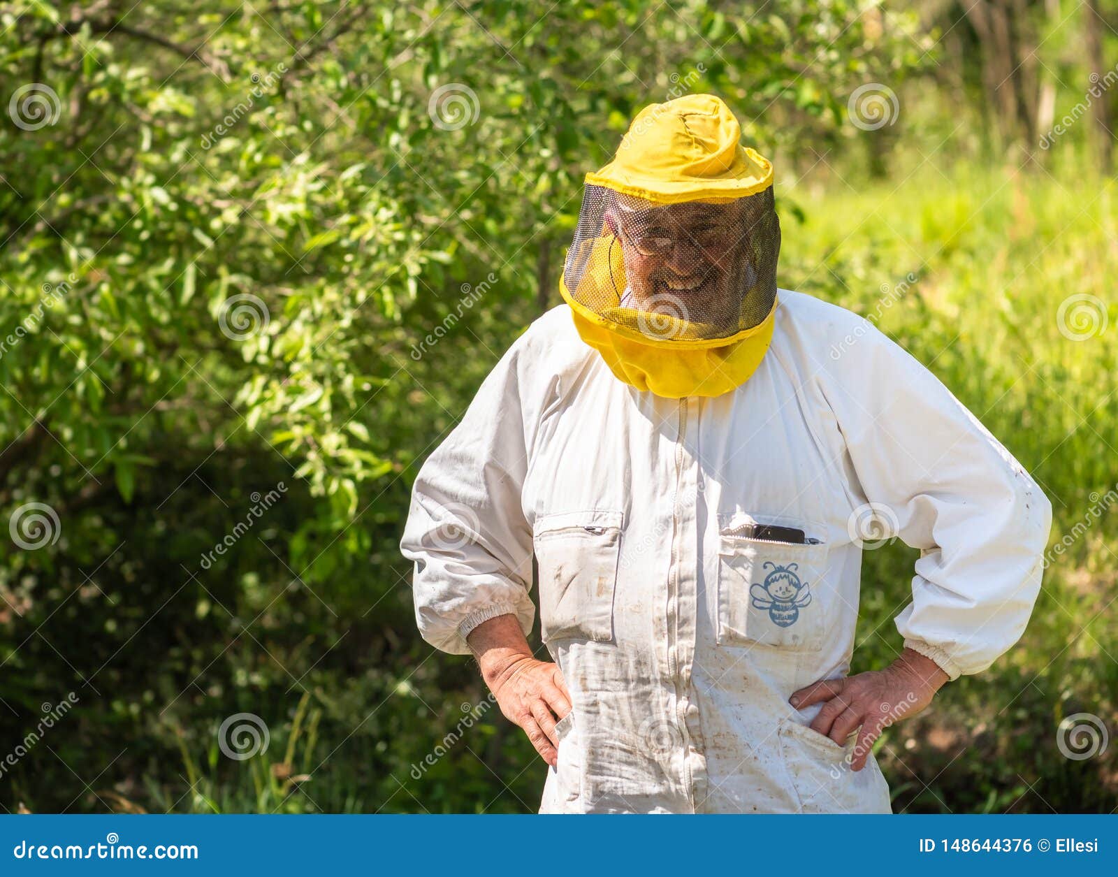 Ritratto Dell'apicoltore Sorridente Con Il Cappello Ed Il Velo Di Apicoltura  Fotografia Stock - Immagine di camma, ritratto: 148644376