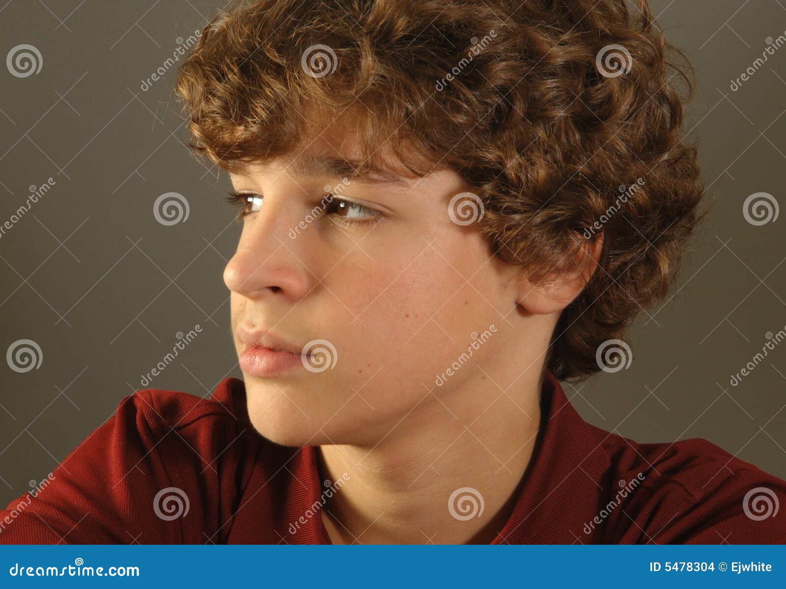 Ritratto di un ragazzo fotografia stock. Immagine di marrone 5478304