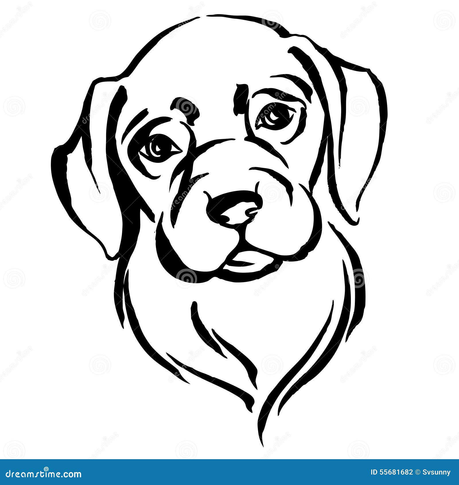 ritratto disegnato a mano del cane labrador rebecca 36 illustrazione vettoriale  illustrazione