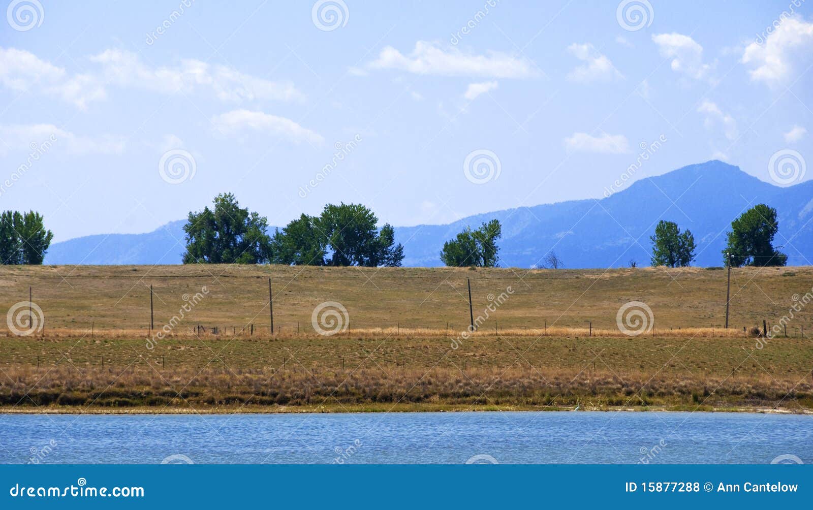 Rivage, arbres et montagnes lointains de lac. Rivage lointain d'un lac sur la prairie du Colorado près de Boulder avec les montagnes bleues sur l'horizon.