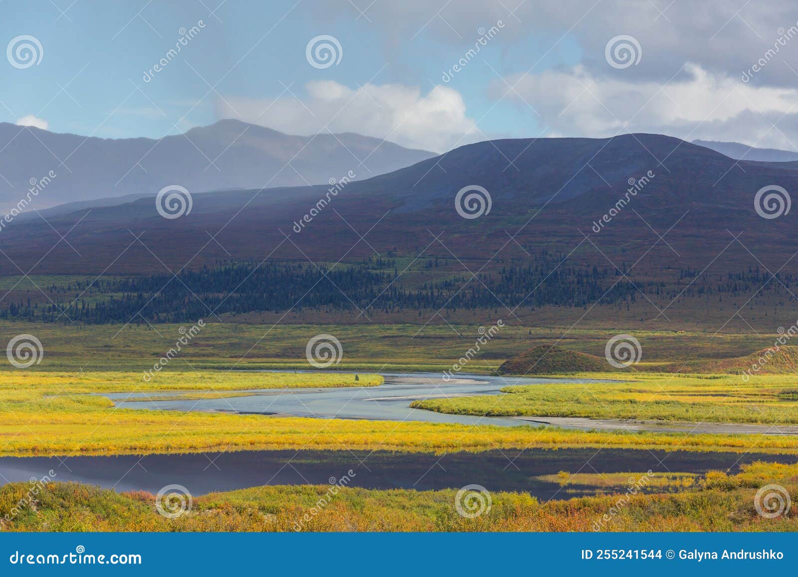 River in Alaska stock photo. Image of trees, nature 255241544