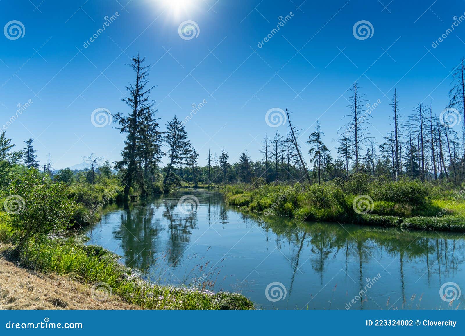 River Along the River Front Trail in Langus Park Washington Stock Photo