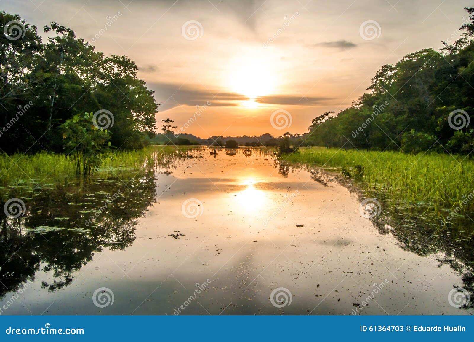 river in the amazon rainforest at dusk, peru, south america