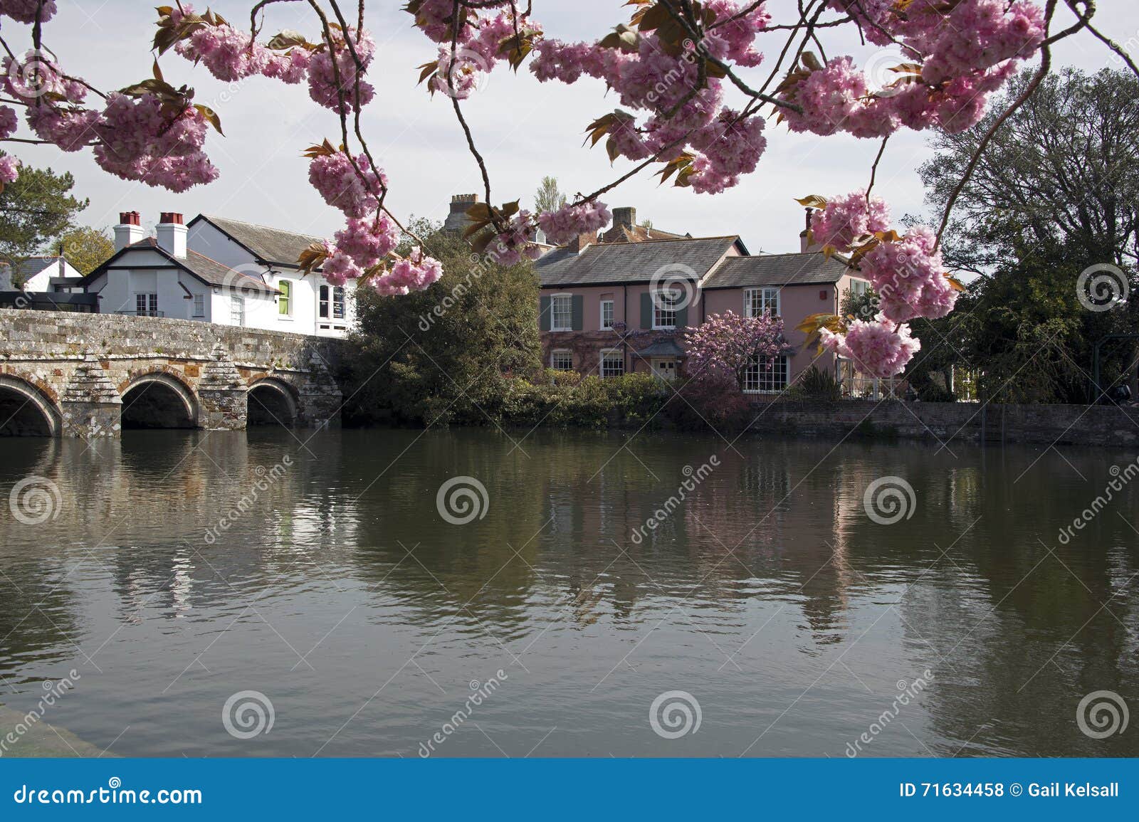 River Avon Christchurch Dorset Editorial Stock Photo Image of