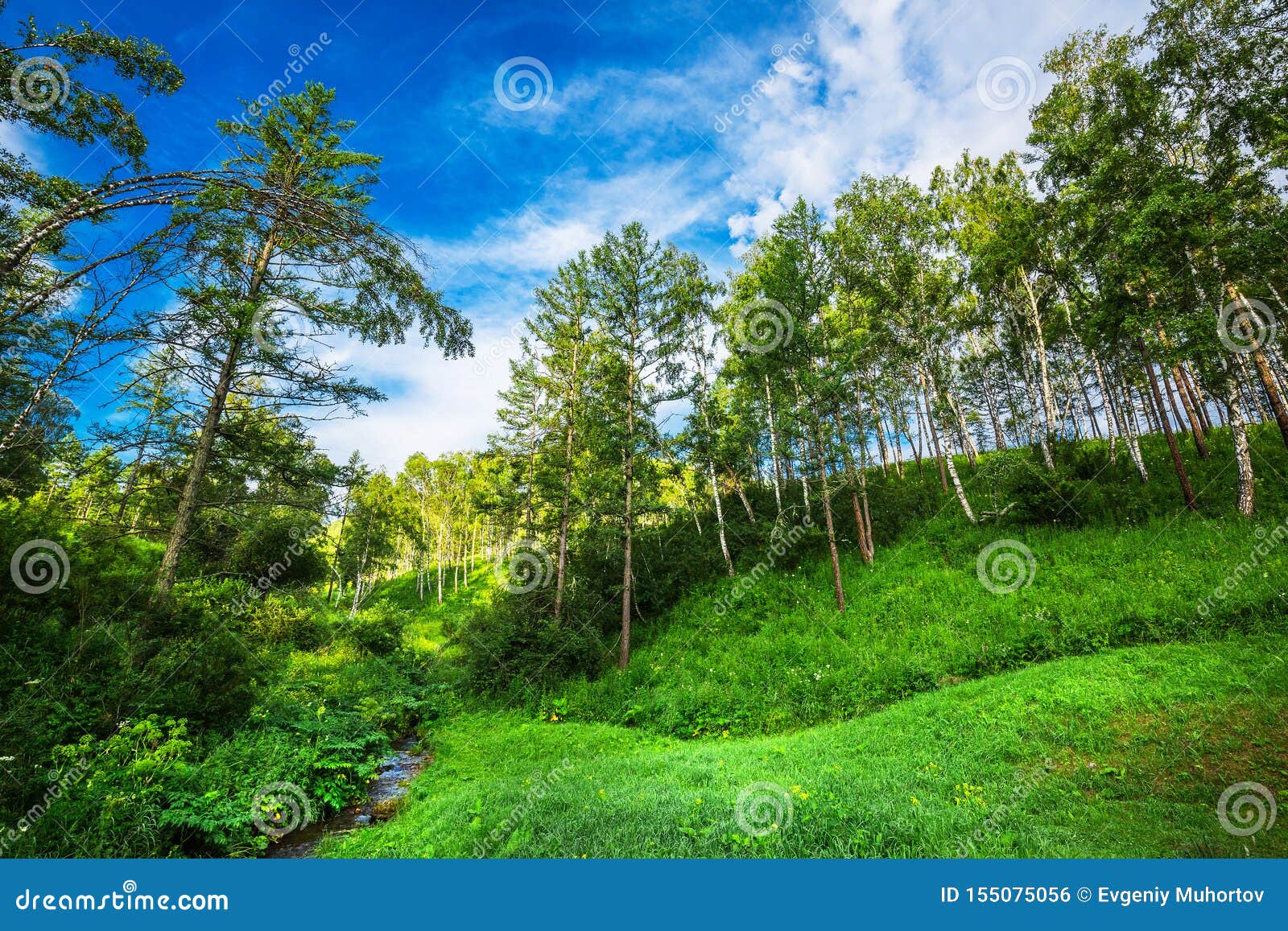 River Baragan Shebalinsky District Gorny Altai Russia Stock Photo