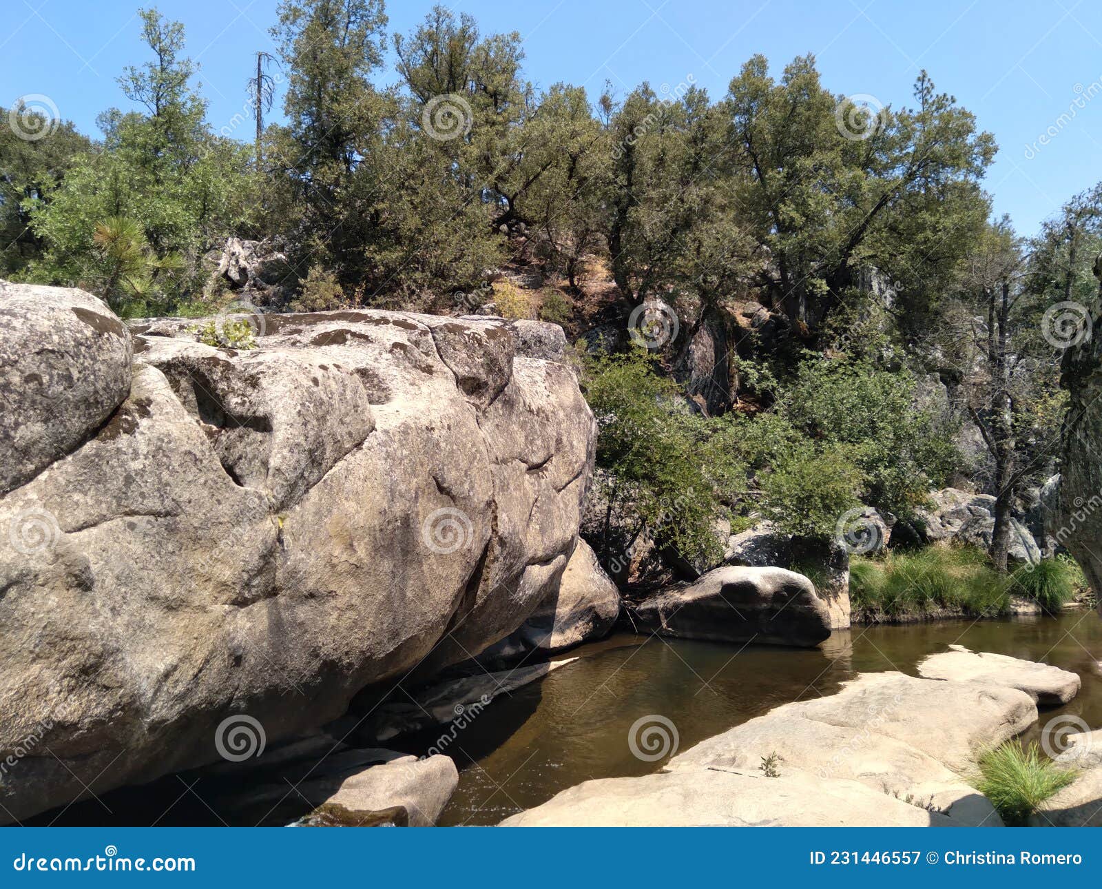 River through boulders stock image. Image of creek, trail - 231446557