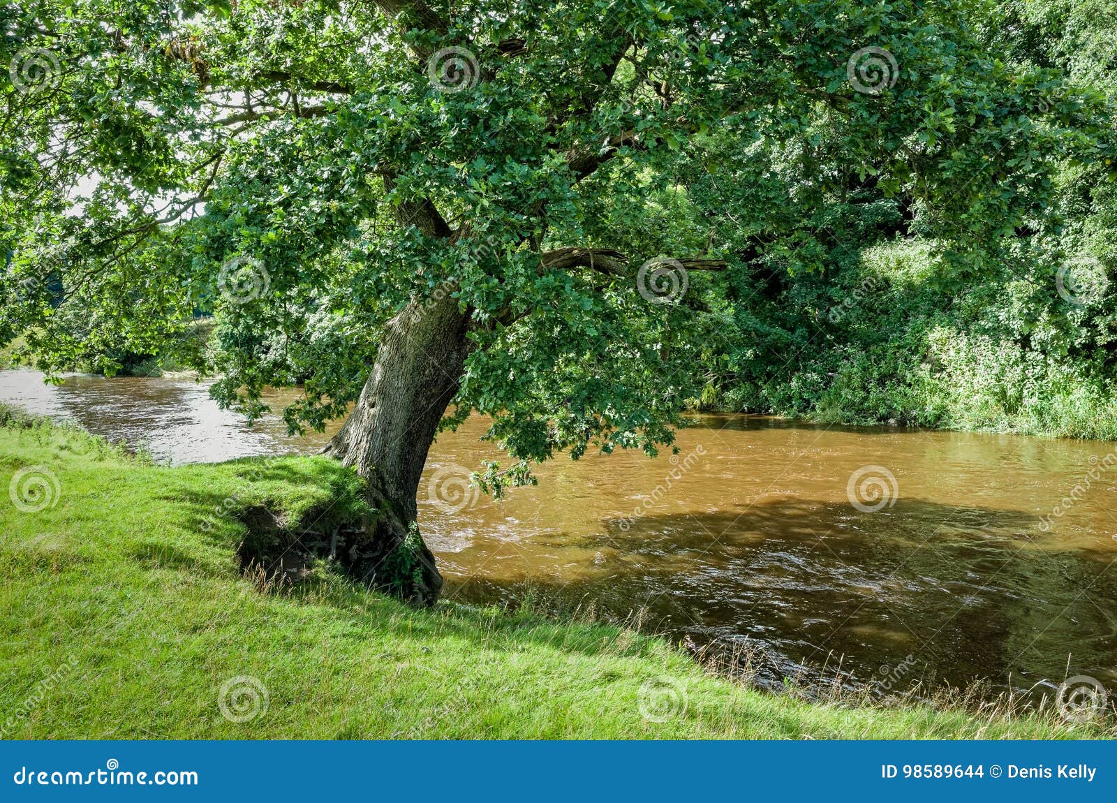 river calder in lancashire, england