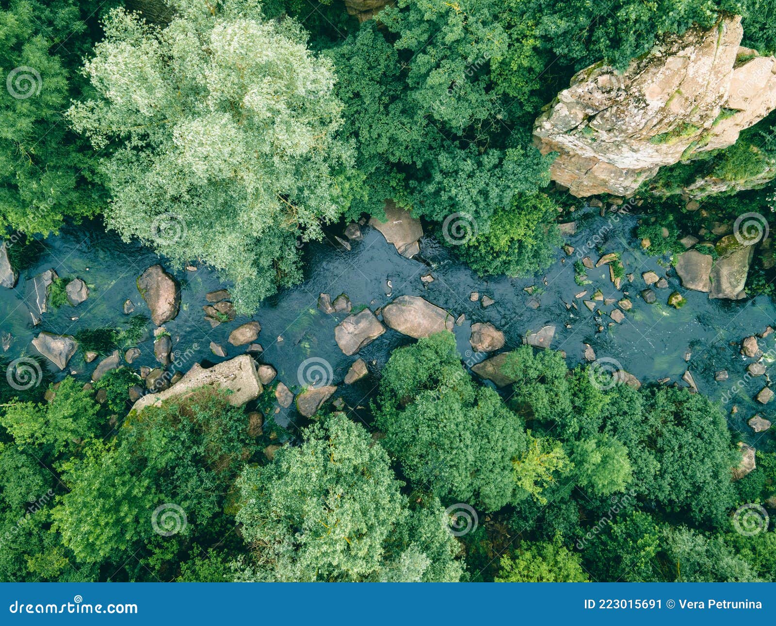 River in Canyon Overhead Top View Stock Image Image of riverbank, trees 223015691