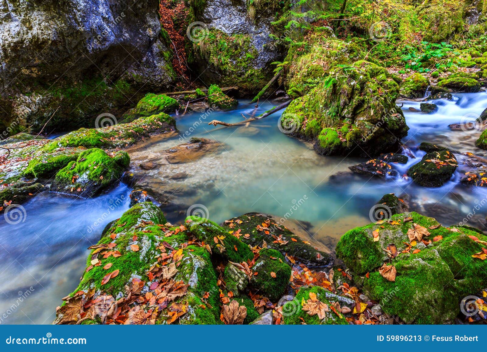 River Cascade In A Forest In Transylvania Mountains Stock Image Image