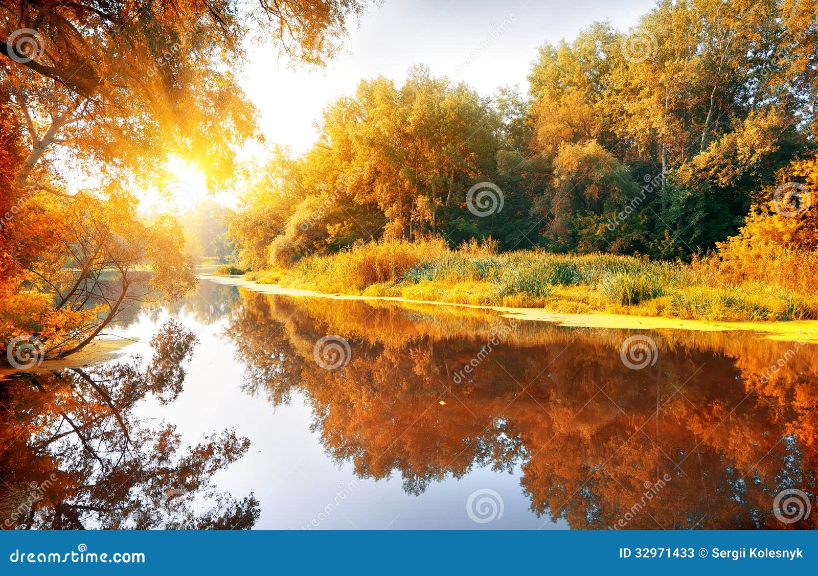 River In A Delightful Autumn Forest Stock Image Image Of Environment