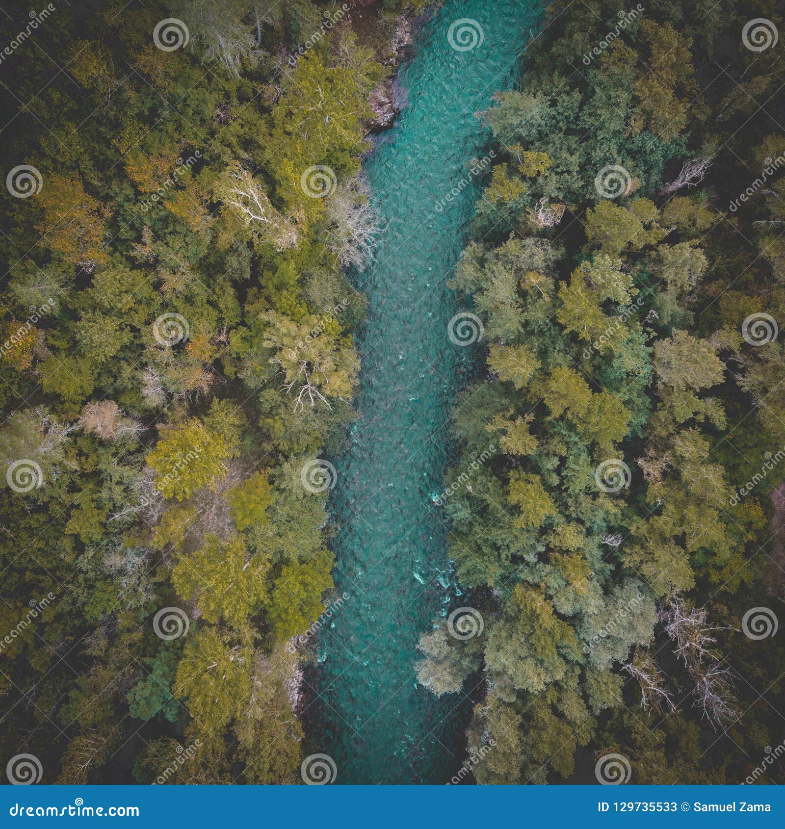 River drone and green image. Image of green - 129735533