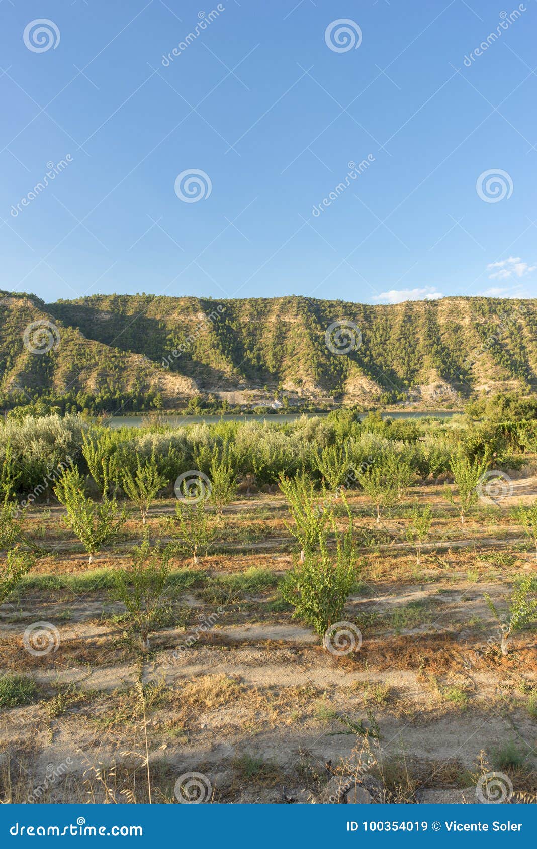 The river Ebro stock image. Image of relaxation, river 100354019