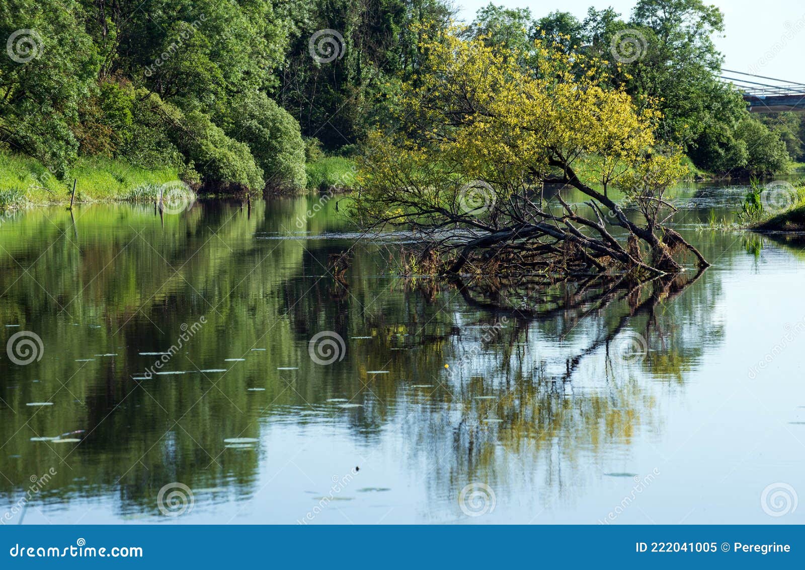 River Erne in Co. Cavan, Ireland Stock Image - Image of landscape ...