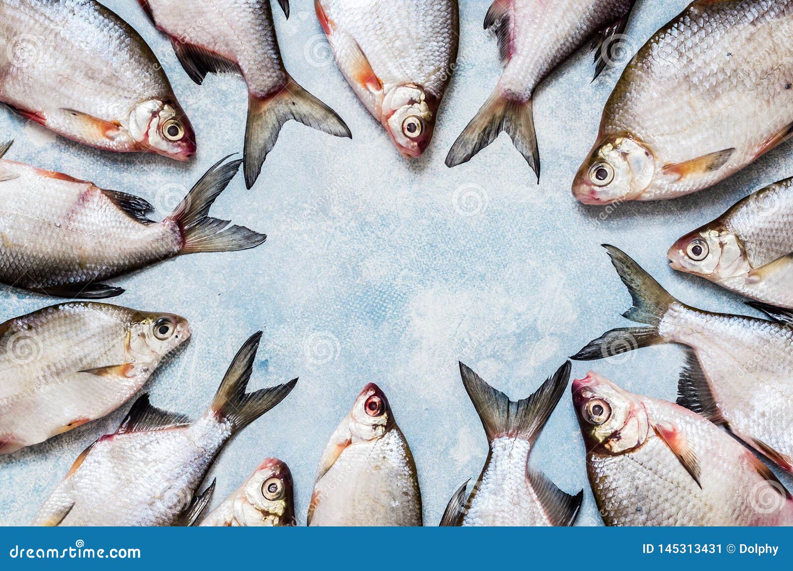 River Fish Background stock image. Image of grey, flatlay - 145313431