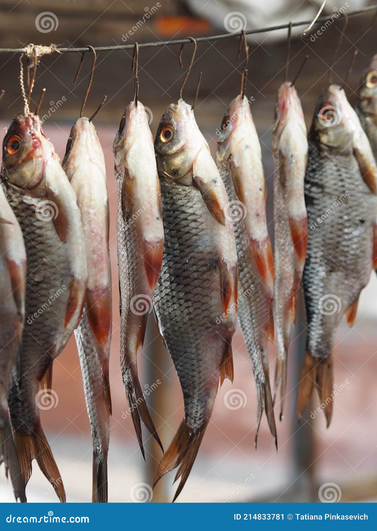 River Fish Caught in Winter Fishing Hang on Hooks on a Wire and