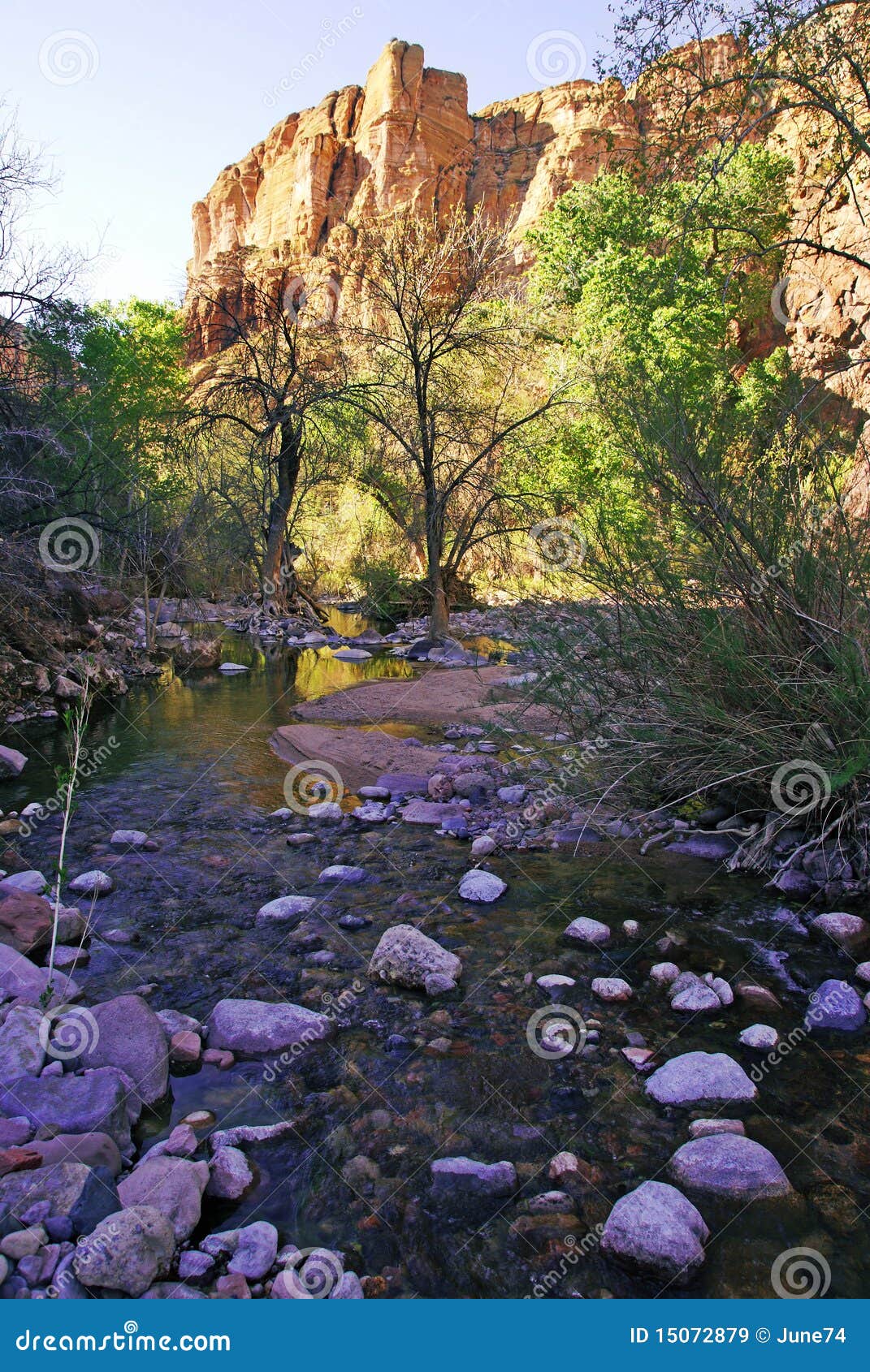 River at Fish Creek Canyon in Arizona Stock Image Image of stone