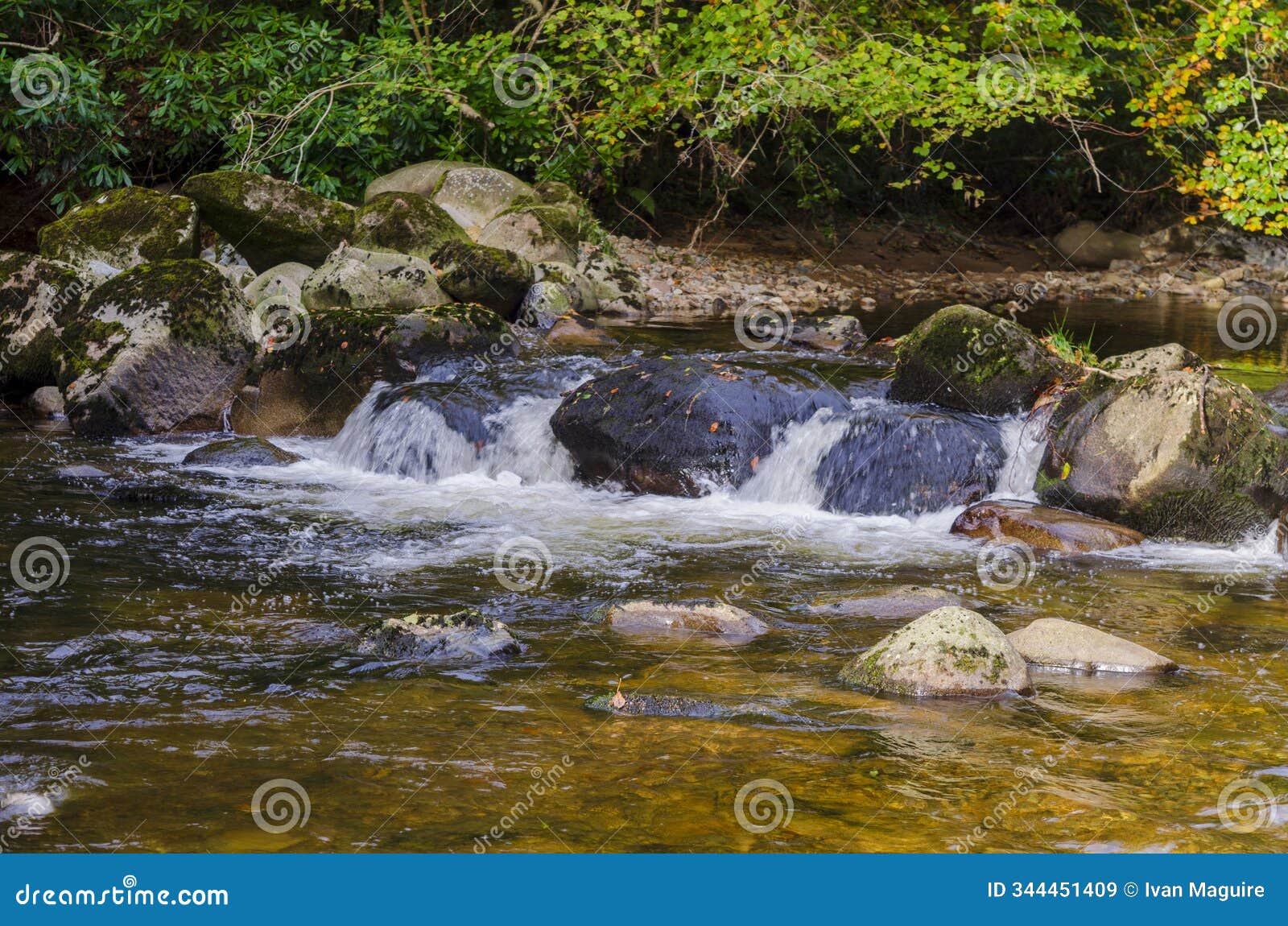 river flowing over moss covered rocks in mourne park county down