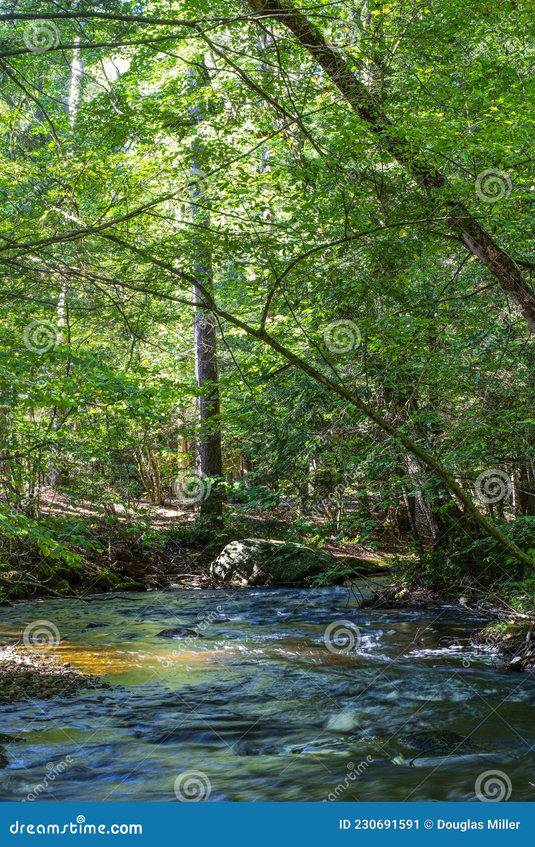 A River Flows in Otter River State Park Stock Image - Image of rocks