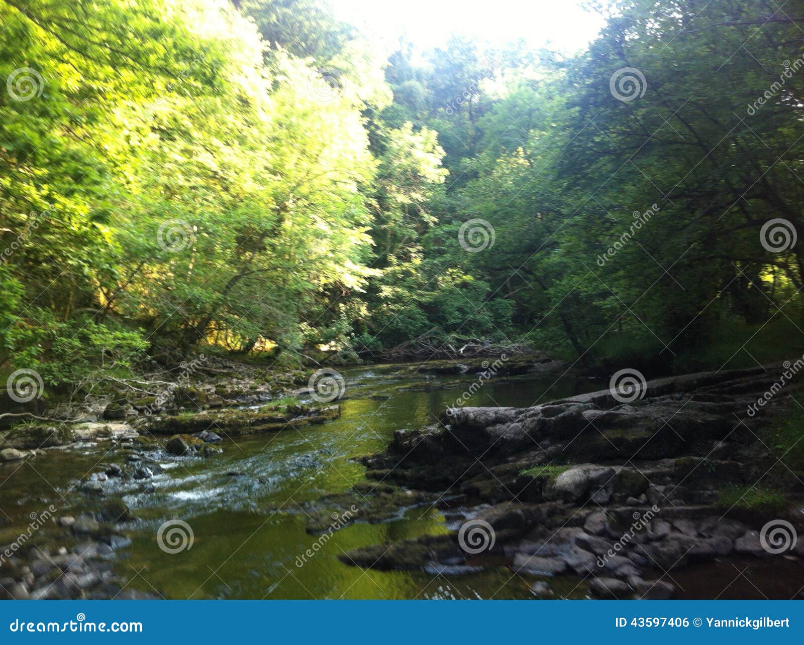 River in the Forests of Wales. Stock Photo Image of wales, trees