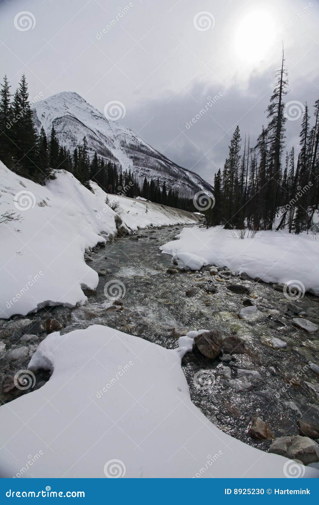 441,544 Fall Winter Stock Photos - Free & Royalty-Free Stock Photos from  Dreamstime