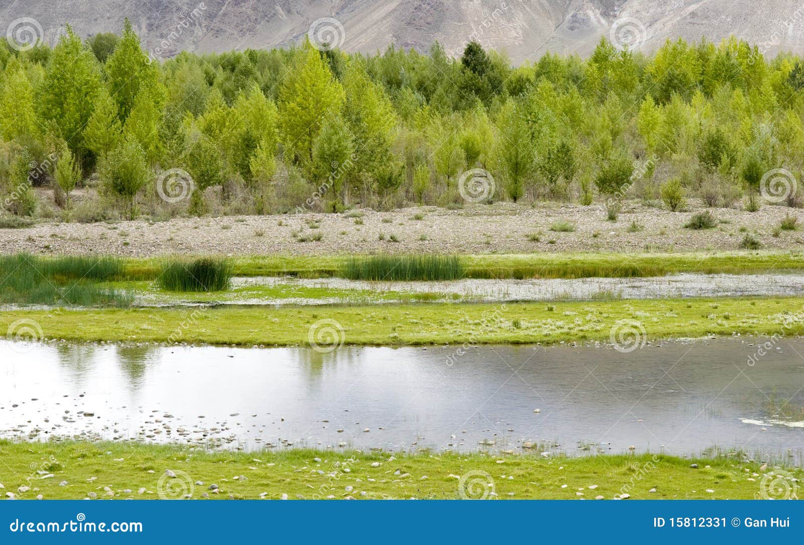 A River In The Grassland Stock Photo 9377868
