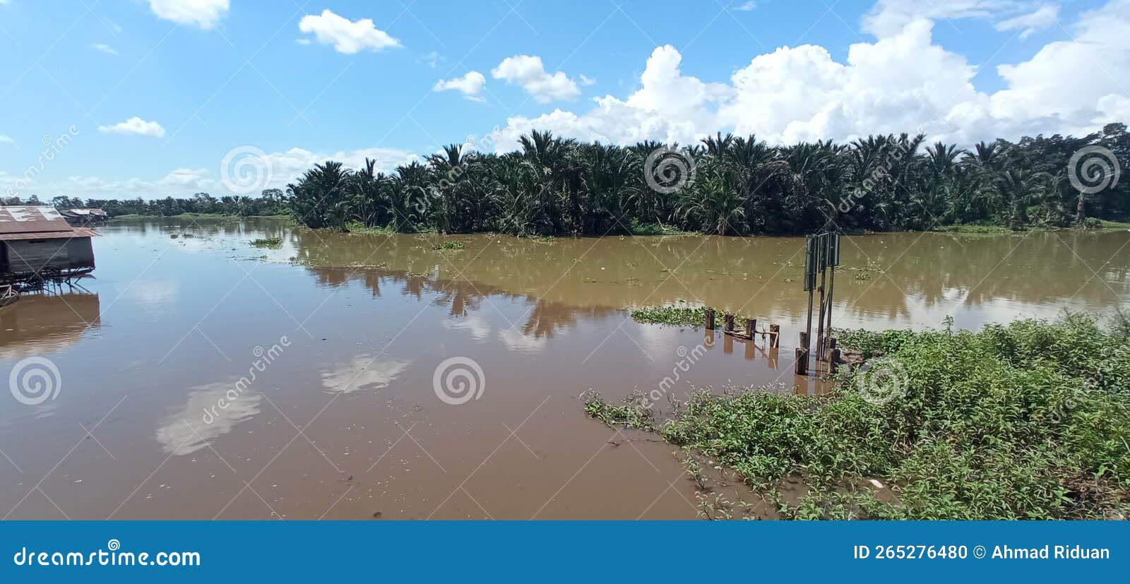 A River that is Half Coffee and Half Milk is a River Stock Photo