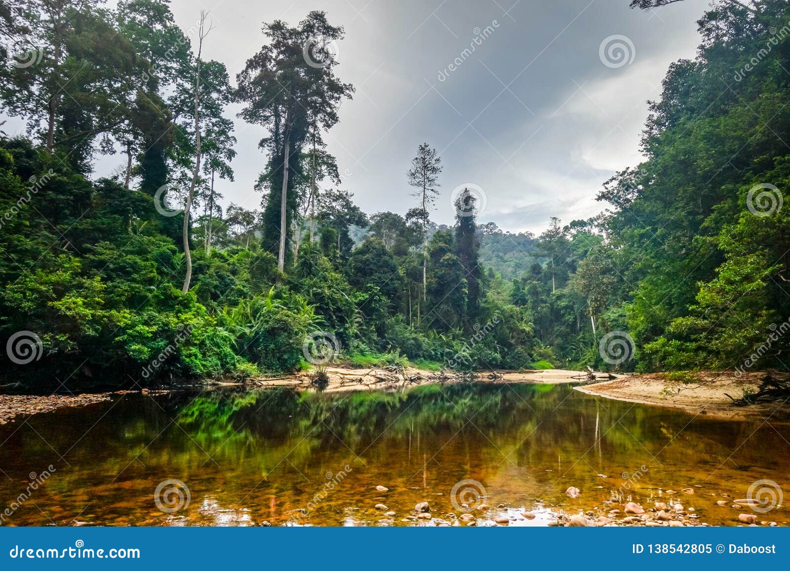 River In Jungle Rainforest Taman Negara National Park  