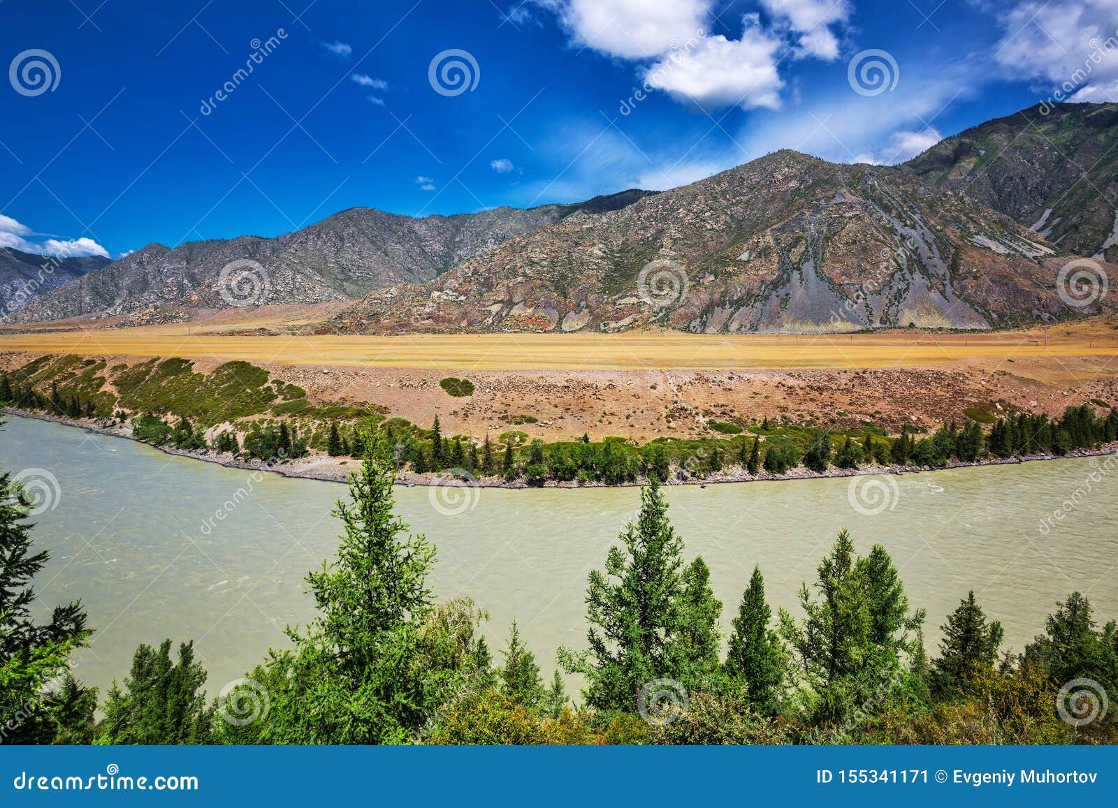 The River Katun Gorny Altai Russia Stock Image Image Of Cordon