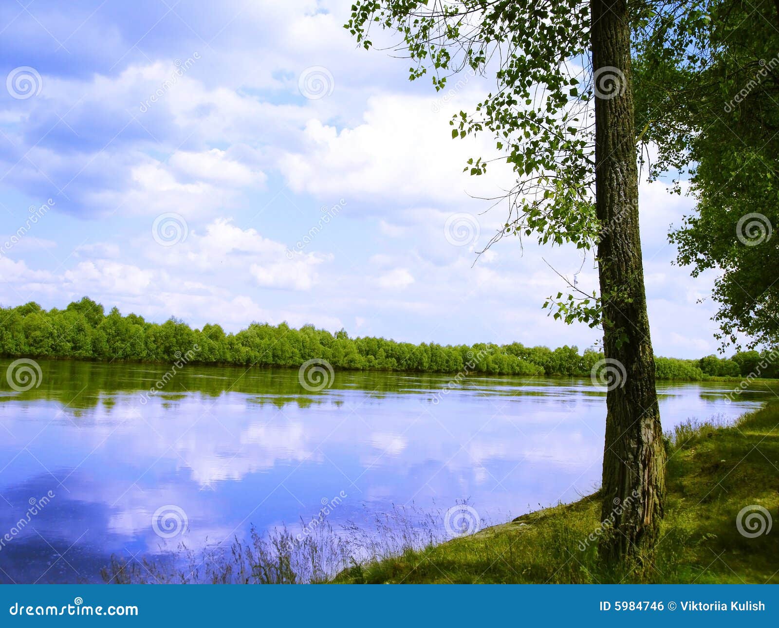 River, land with trees stock photo. Image of forest, creek 5984746