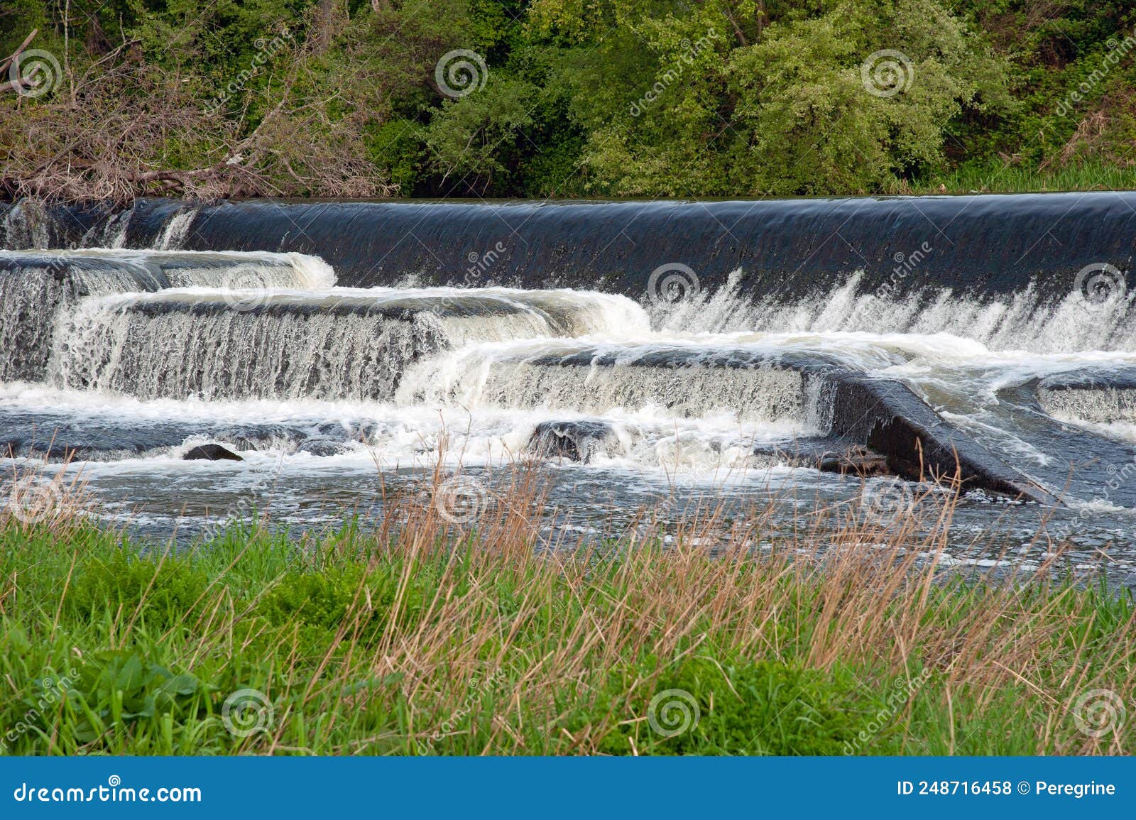 river liffey in lucan village