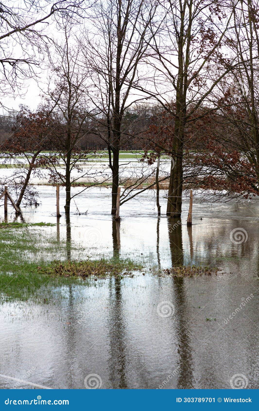 the river lippe has burst its banks. the high water has flooded a field.