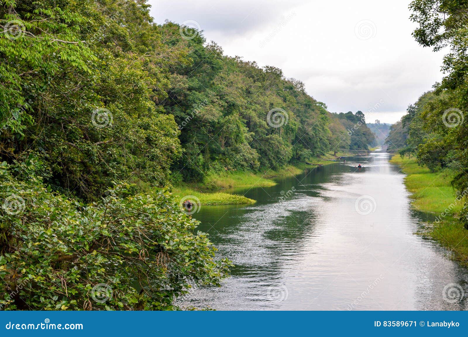 river through los naranjos national park by lake de yojoa, honduras