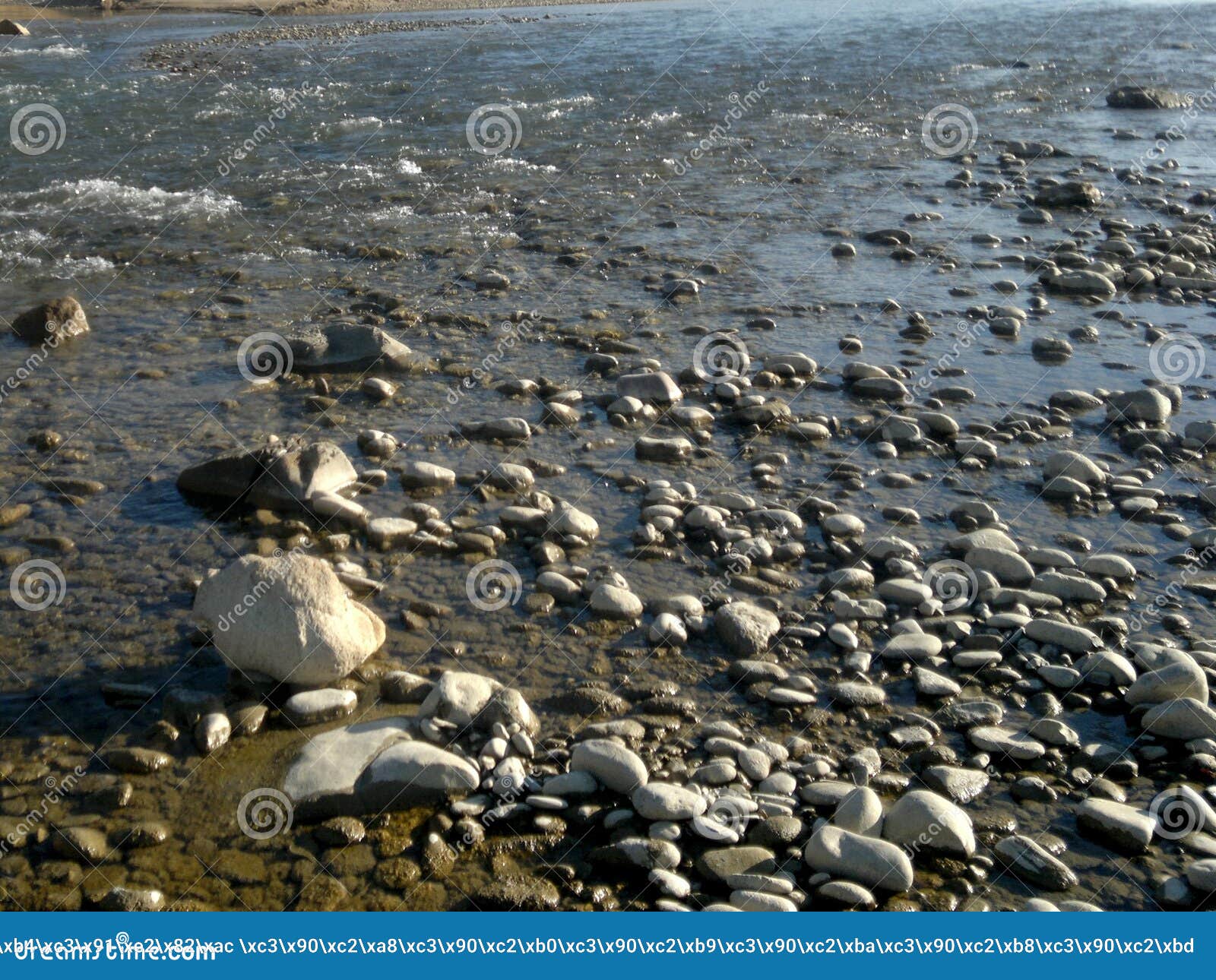 the river and a lot of different sized quinas near the shore