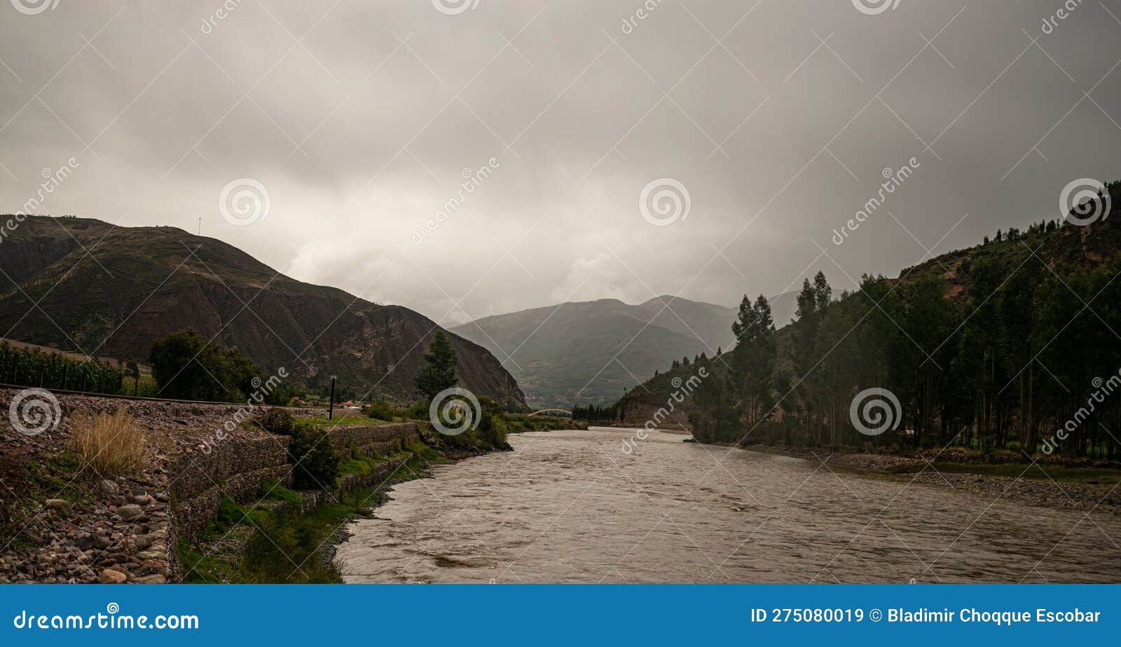 river near trees and distant mountains