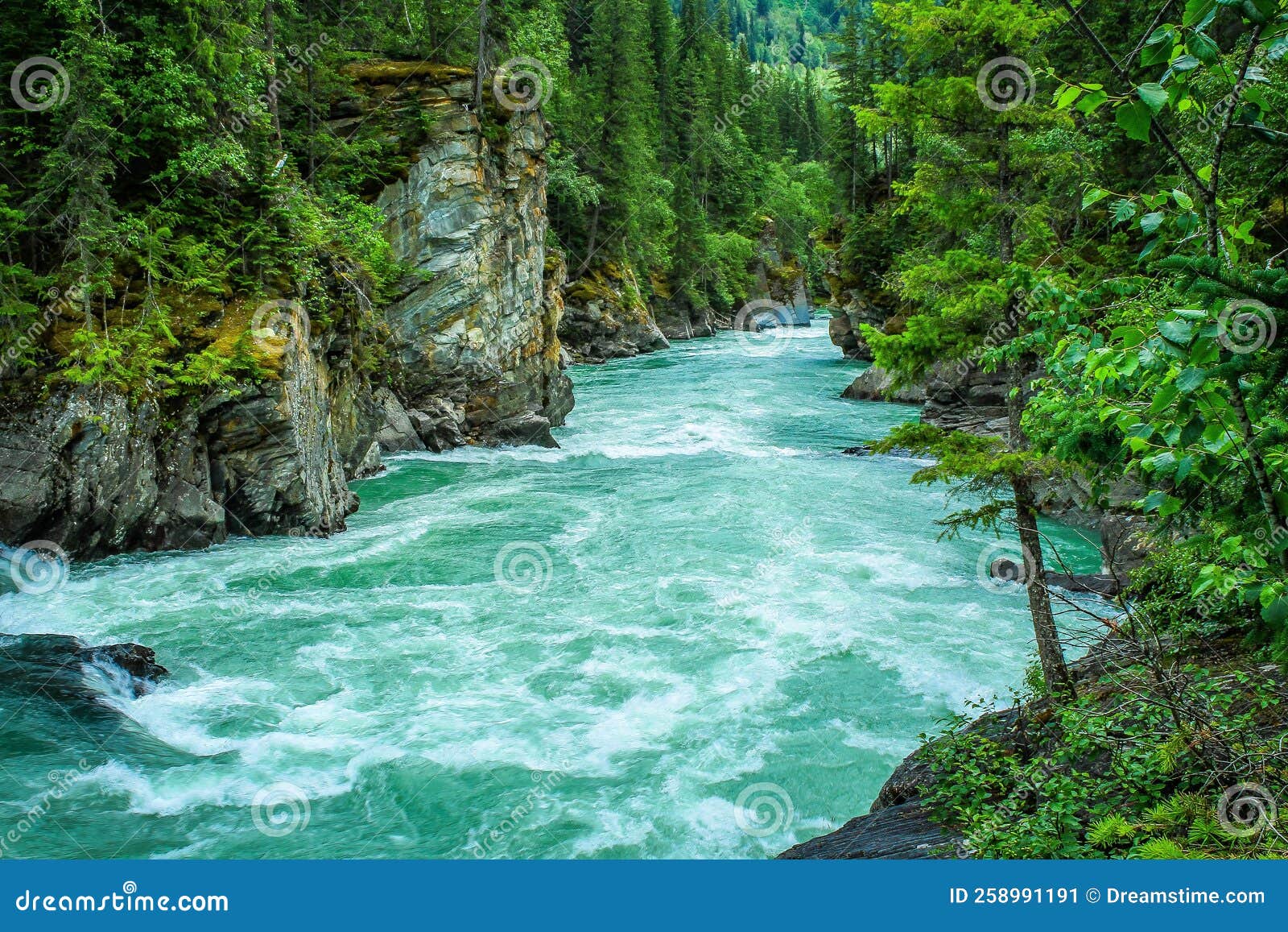 River in North Side of India Utrakhand India Stock Image Image of utrakhand, side 258991191