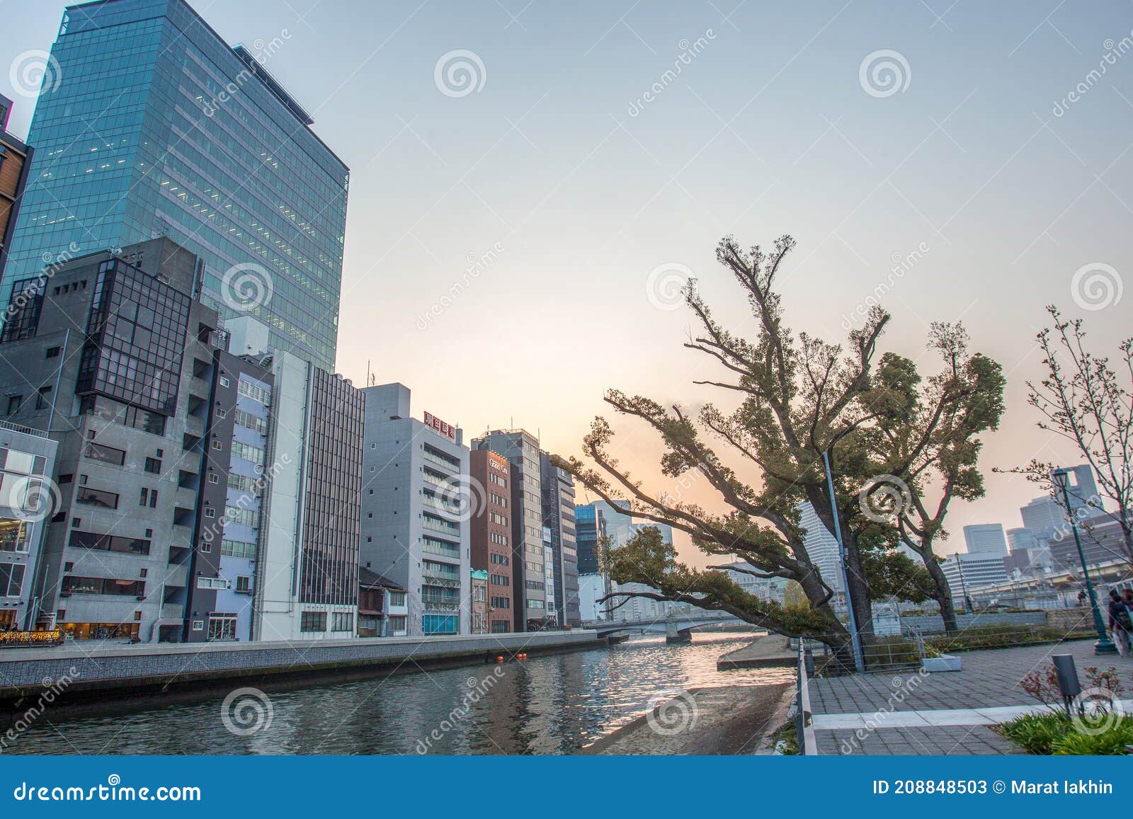 river o and nakanoshima rose garden in osaka