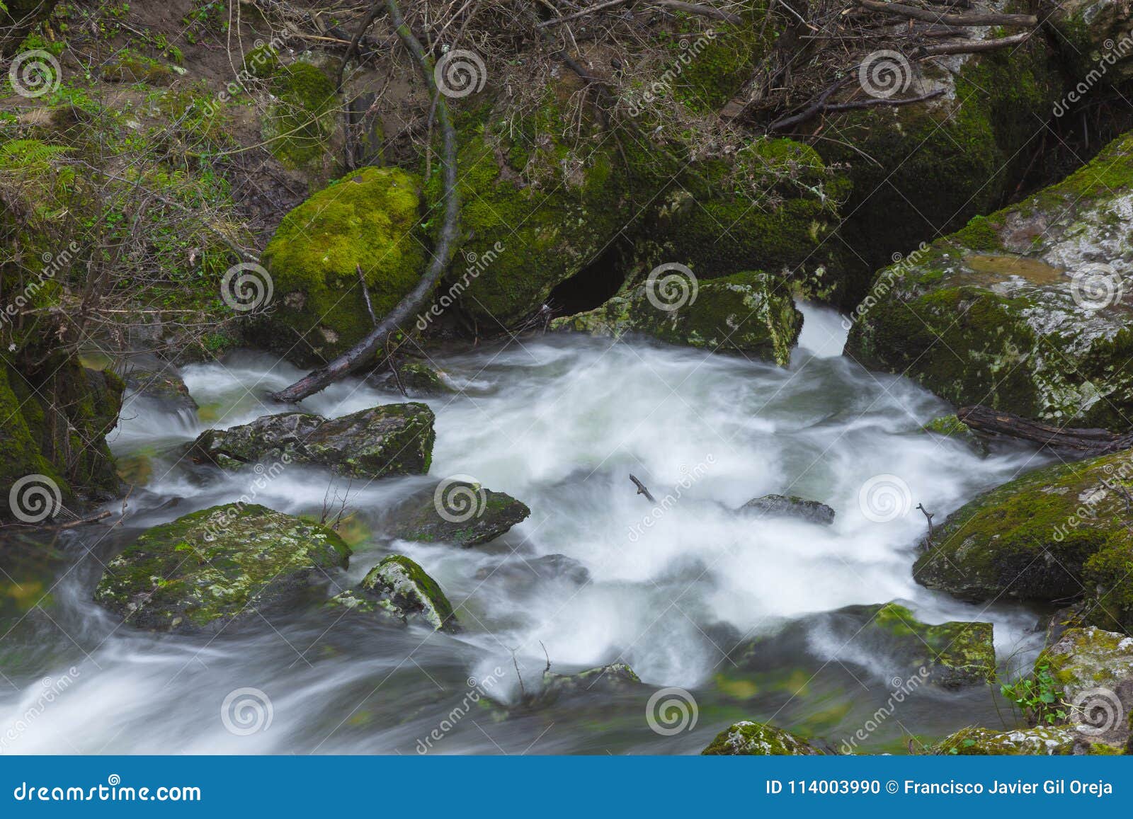 river in ojo guarena, burgos