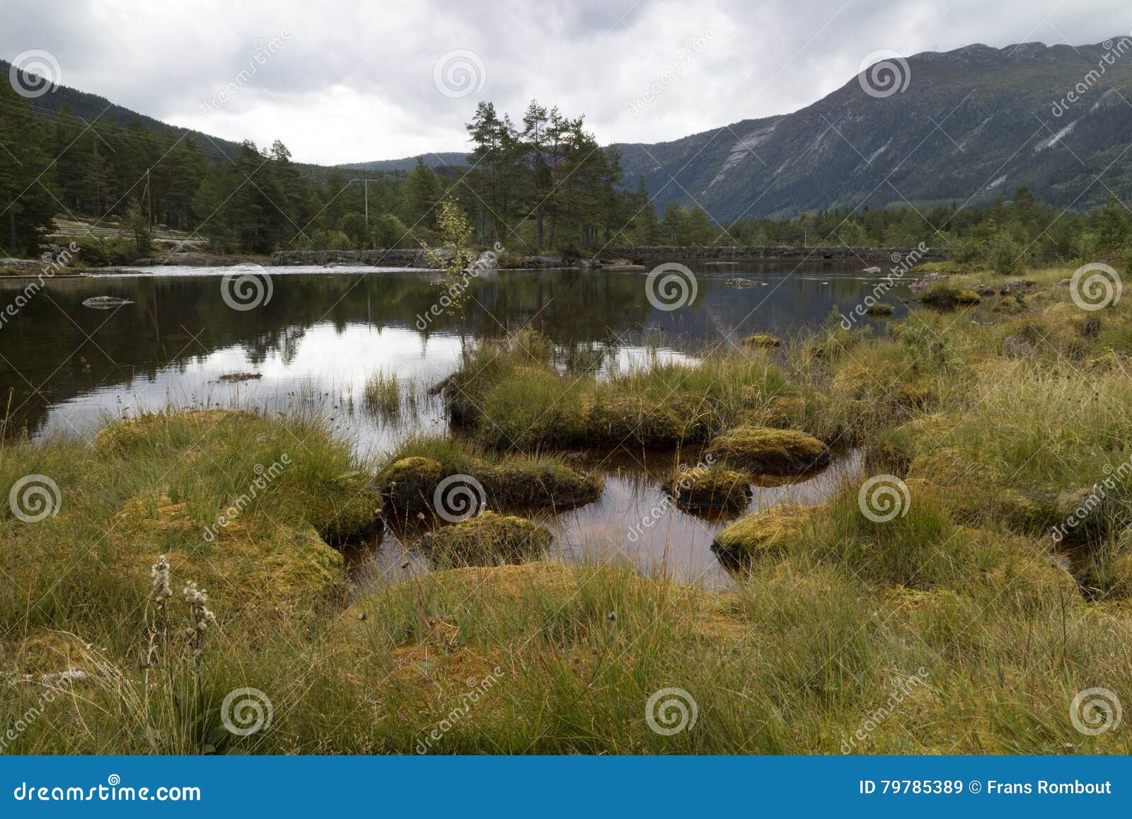 river otra in the setesdal