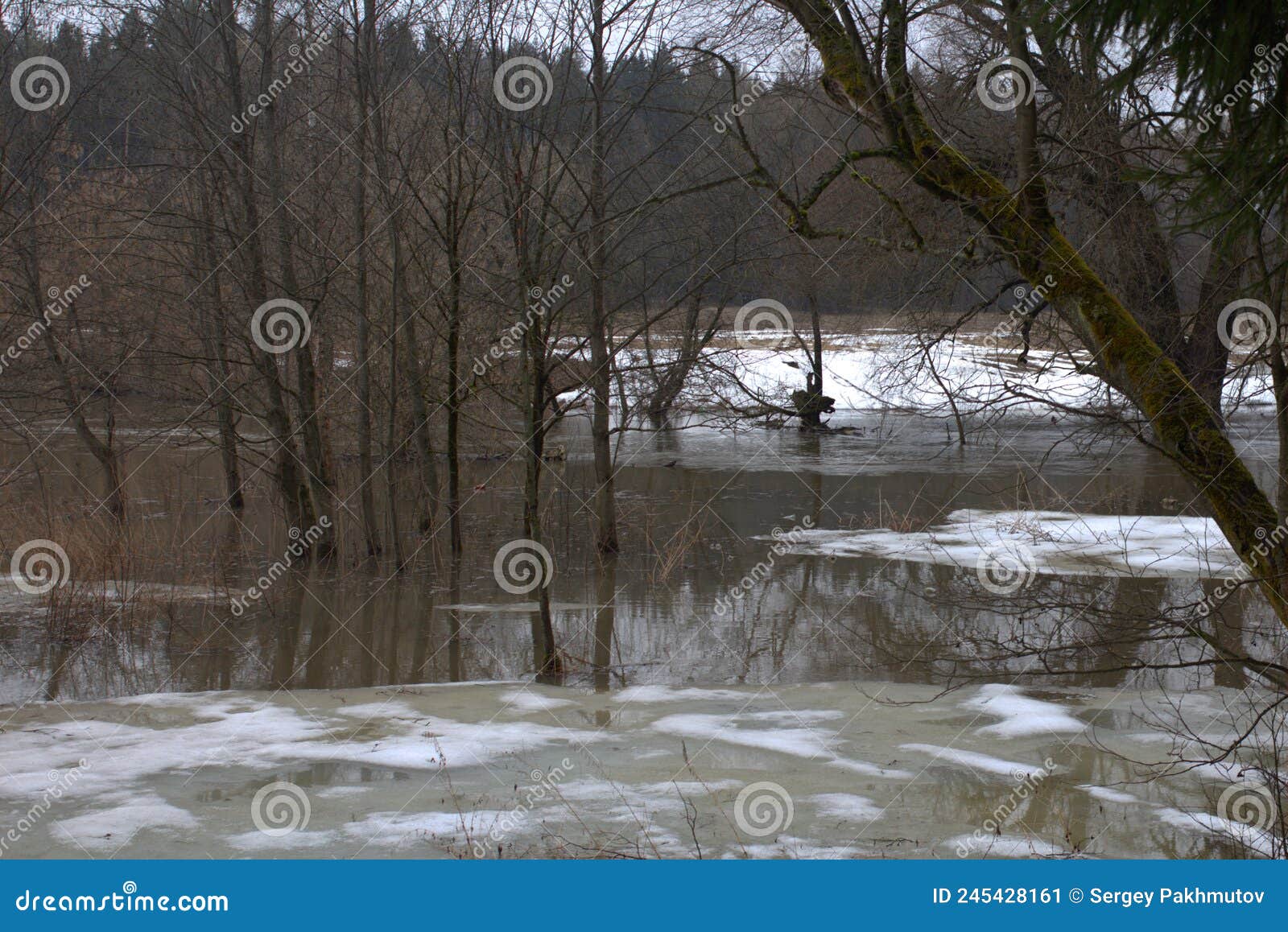 river overflow at spring