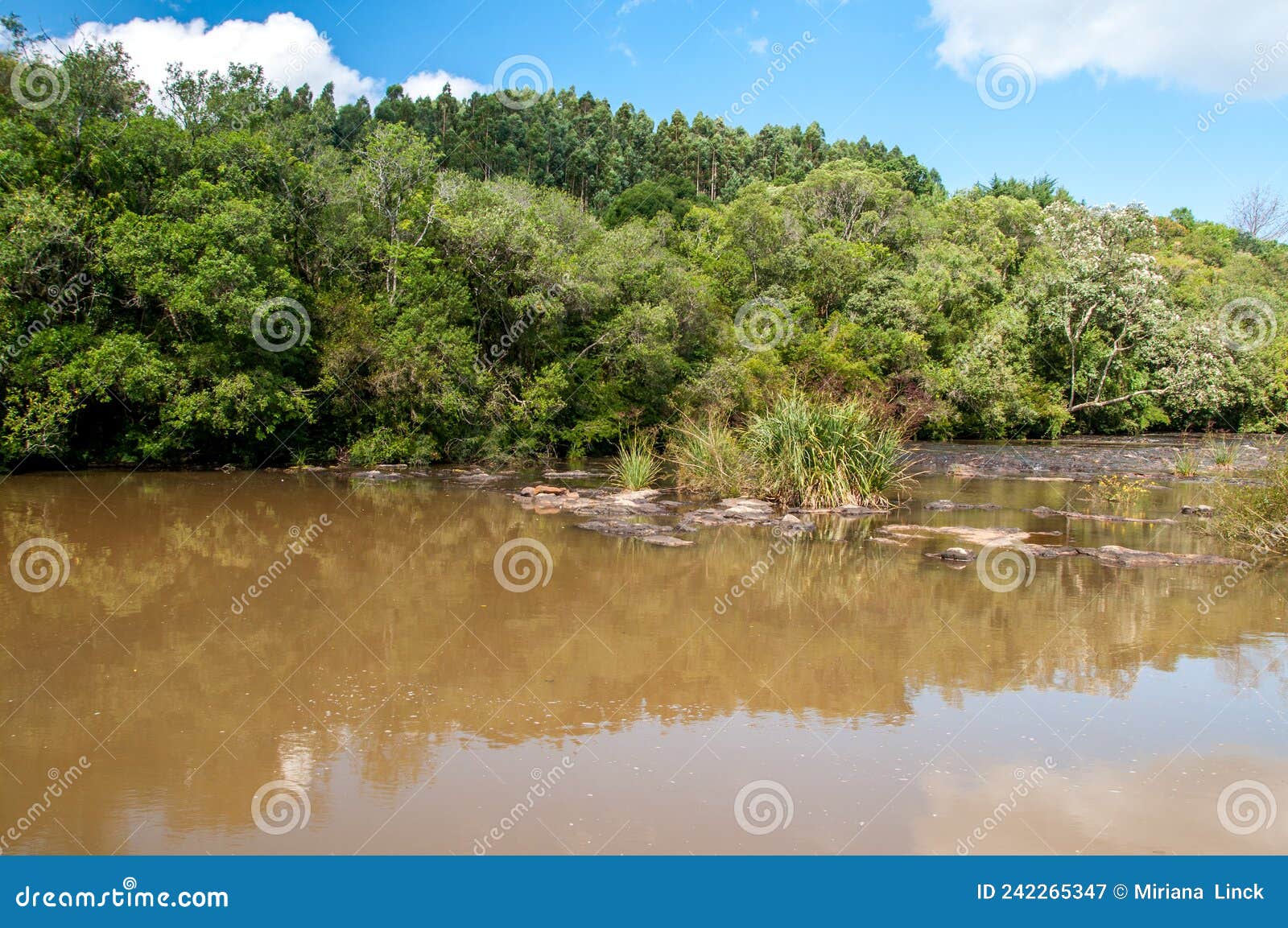 river passing between the mountains in sao marcos , brazil