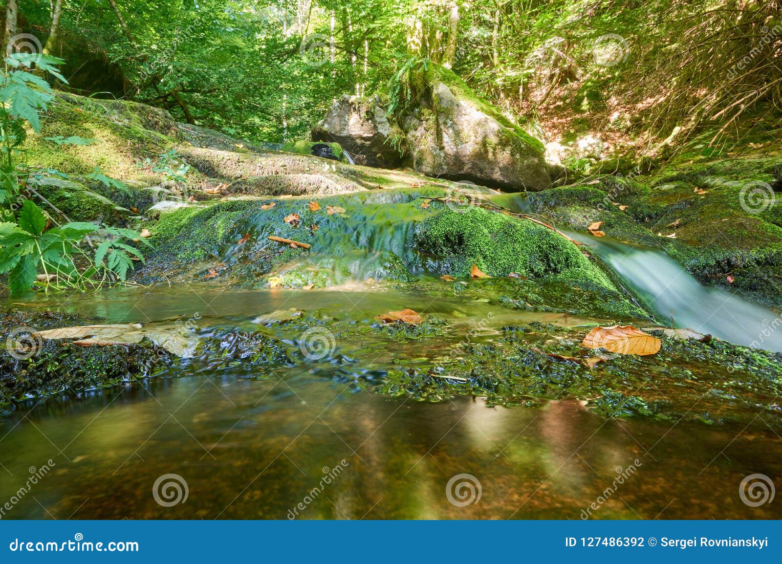 River Passing Through Rocks In A Green Forrest Stock Photo Image Of