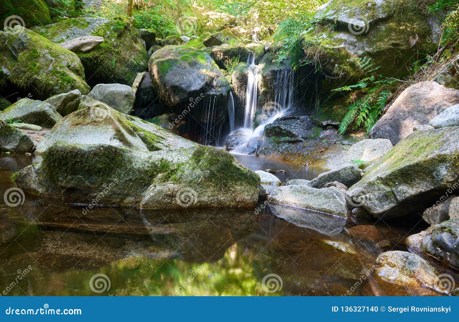 River Passing Through Rocks In A Green Forrest Stock Photo Image Of