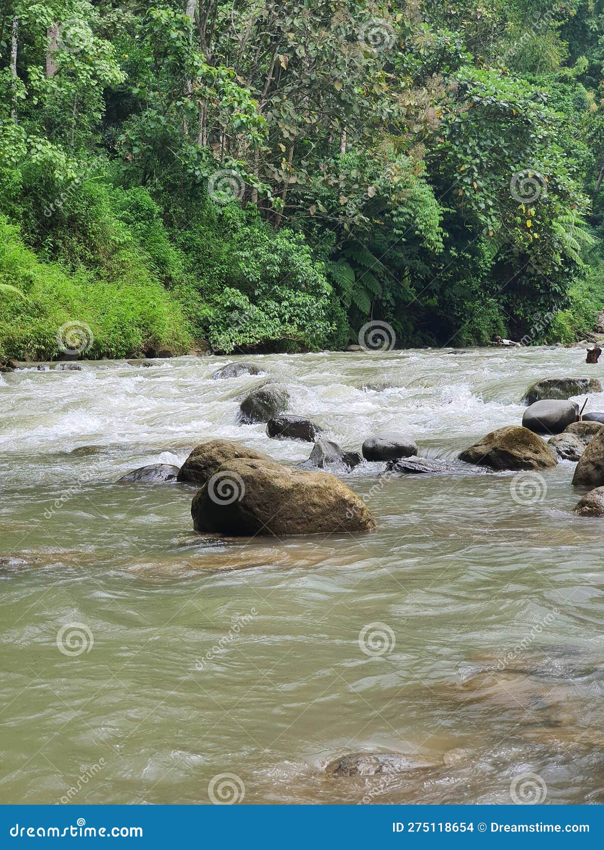 river  pematang at pagar alam