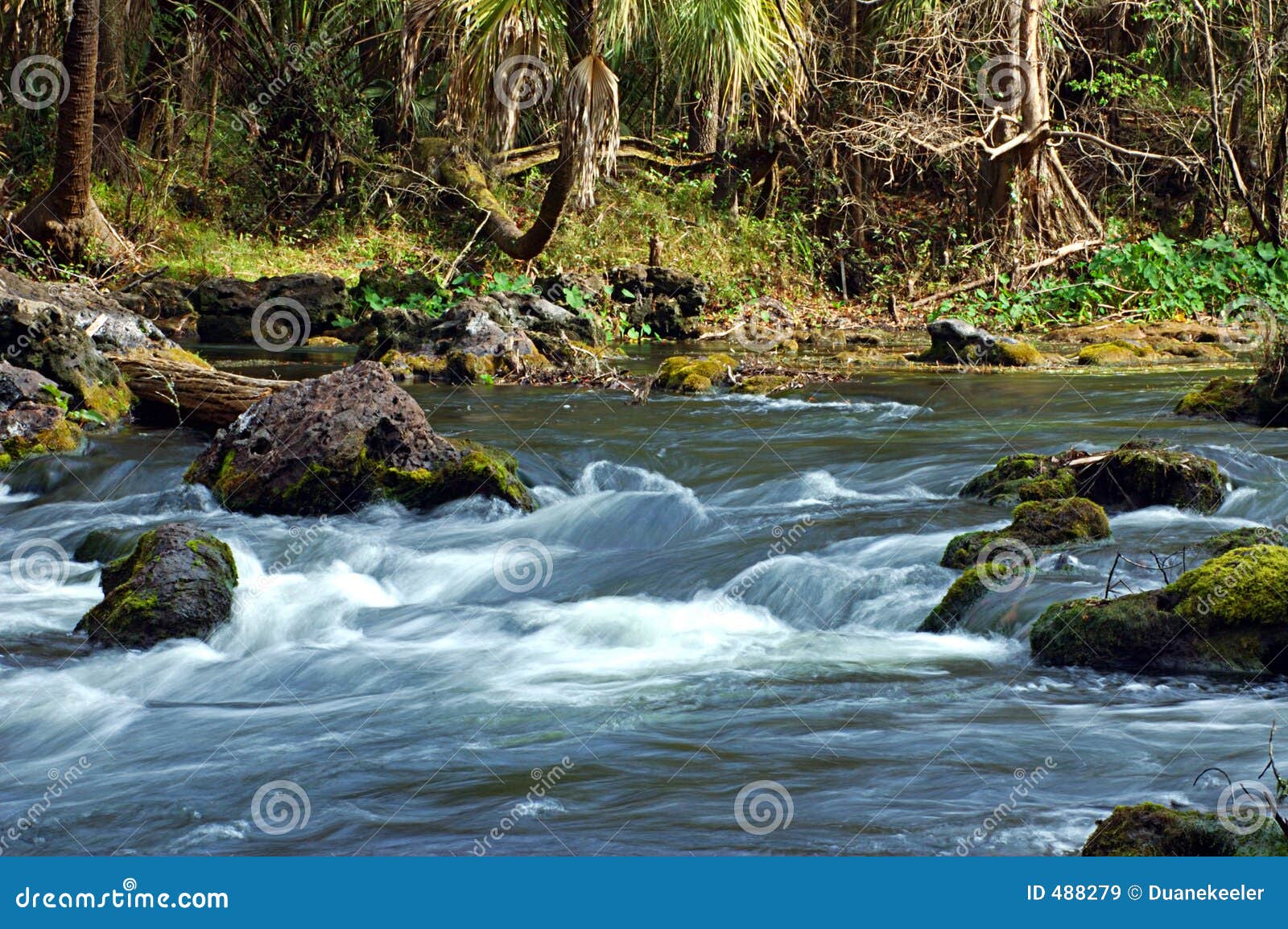 River Rapids Royalty Free Stock Images Image 488279