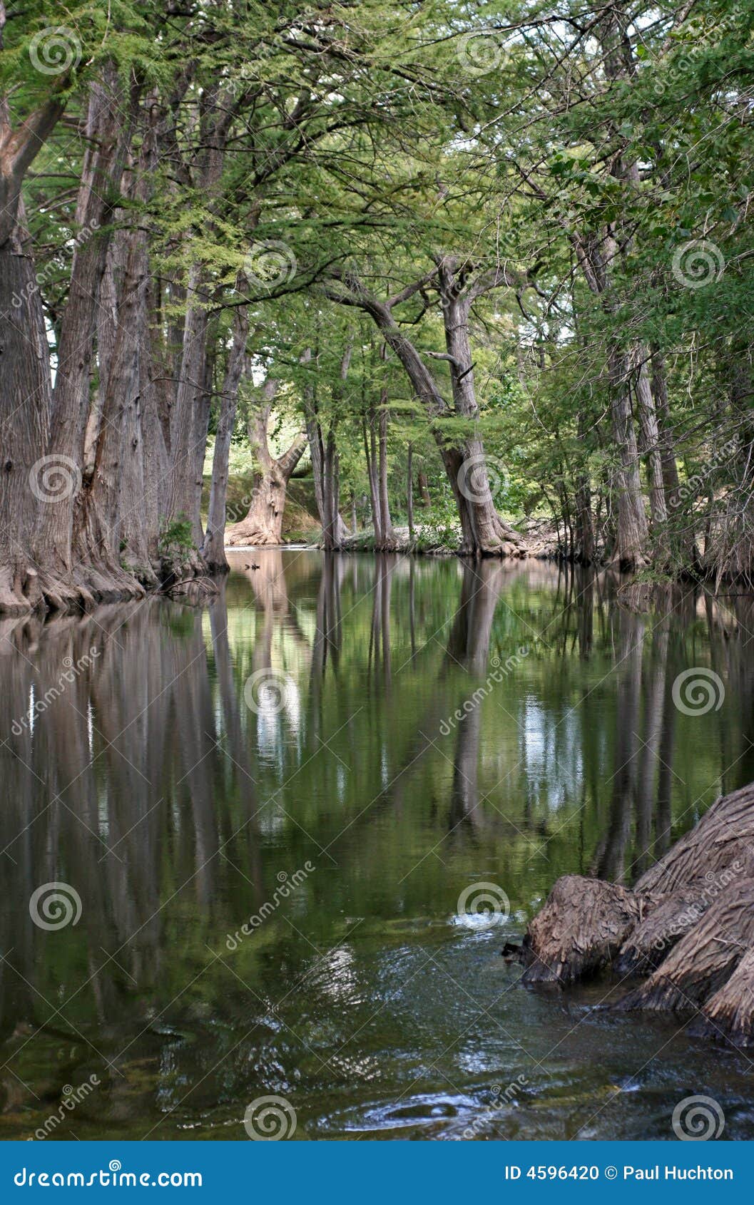 river reflections