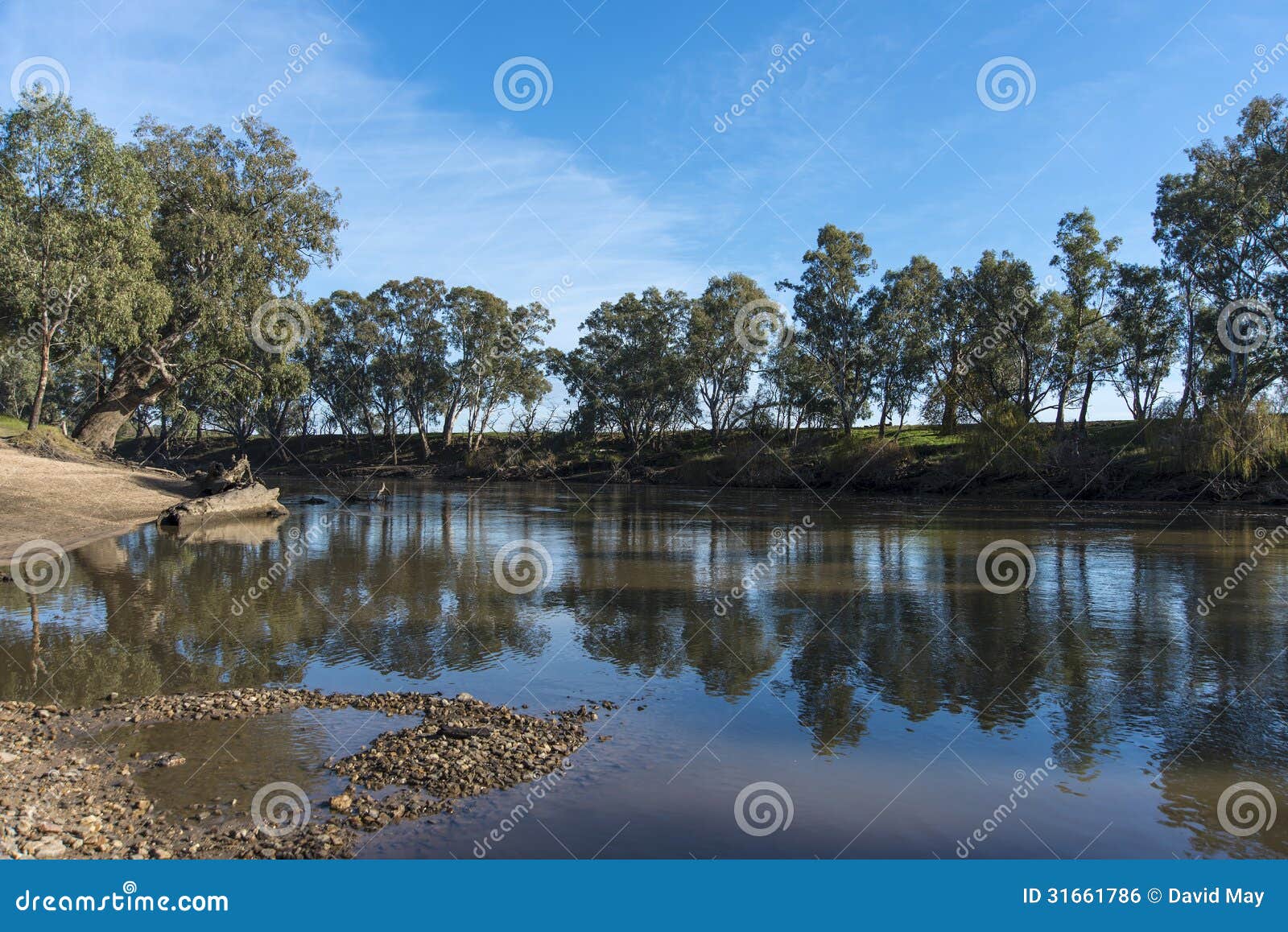 river reflections