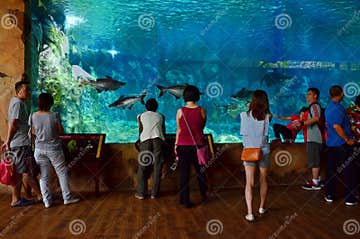 River Safari Aquarium editorial stock photo. Image of river - 58705118