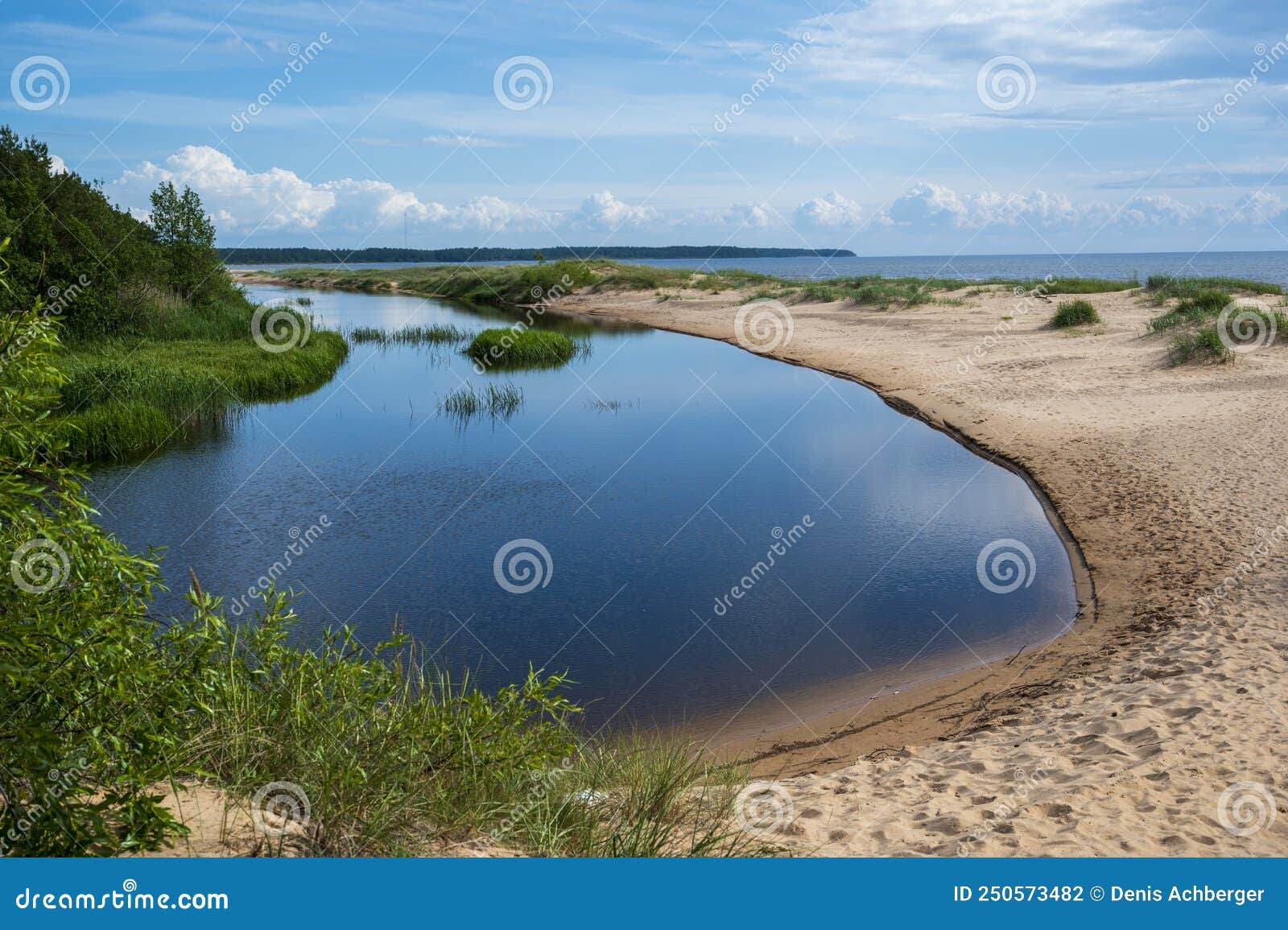 River on a Sandy Beach with Greenery Stock Photo Image of green